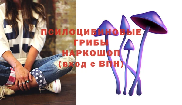 прущие грибы Зеленокумск