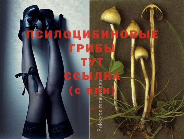 MESCALINE Елабуга